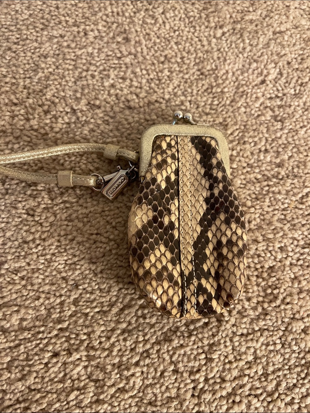 Coach Snake-Print Brown Leather lipstick Pouch with Strap